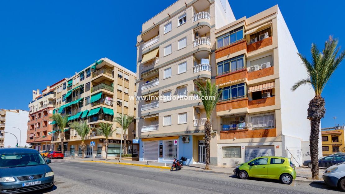 Reventa - Apartamento - Guardamar del Segura - Pueblo