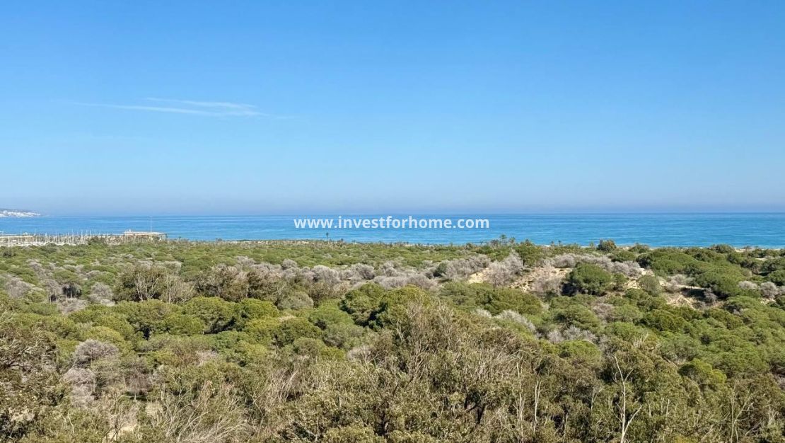 Reventa - Apartamento - Guardamar del Segura - Puerto