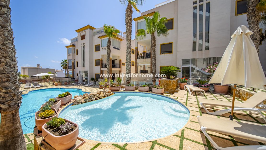 Reventa - Apartamento - Guardamar del Segura