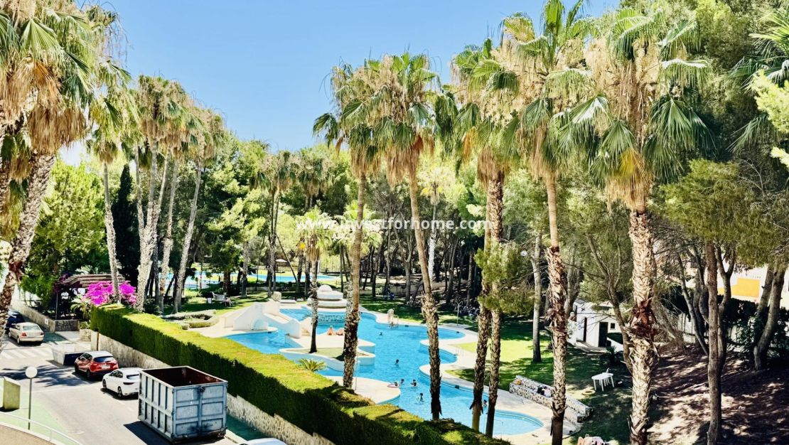 Reventa - Apartamento - Orihuela Costa - Altos De Campoamor