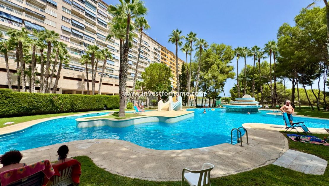 Reventa - Apartamento - Orihuela Costa - Altos De Campoamor