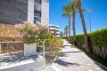 Reventa - Apartamento - Orihuela Costa - AMANECER
