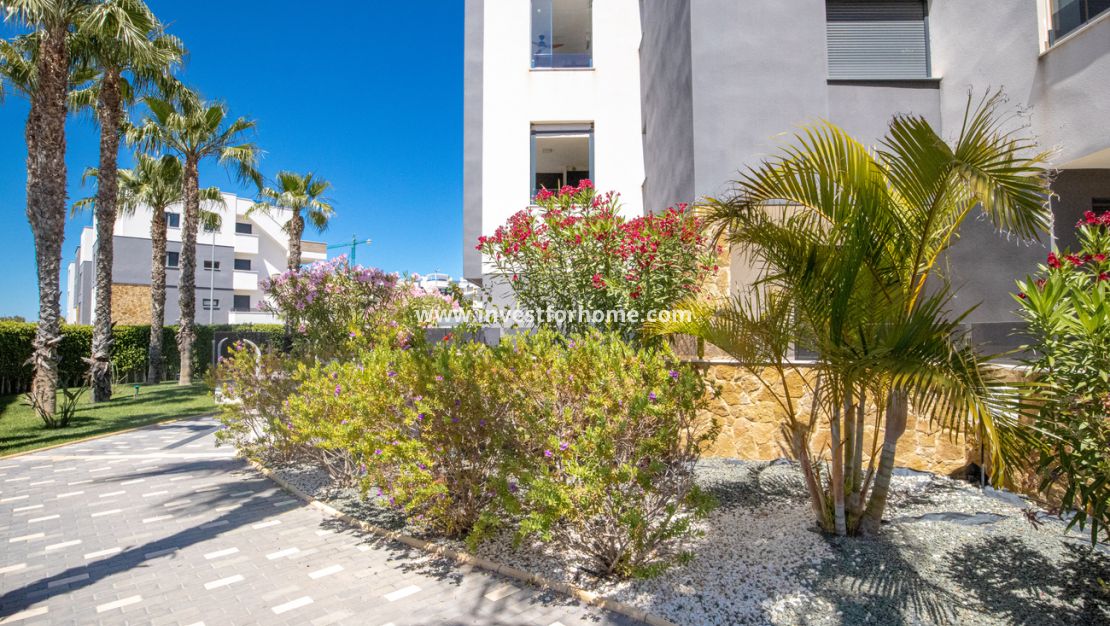 Reventa - Apartamento - Orihuela Costa - AMANECER