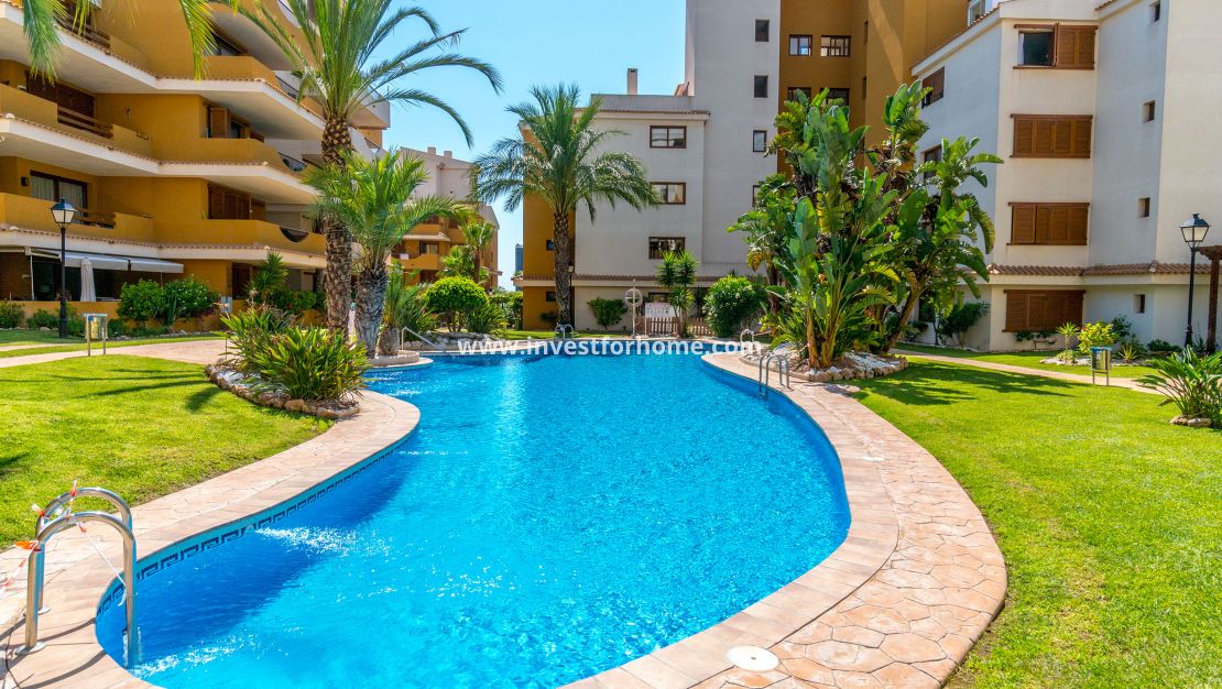 Reventa - Apartamento - Orihuela Costa - Costa Blanca