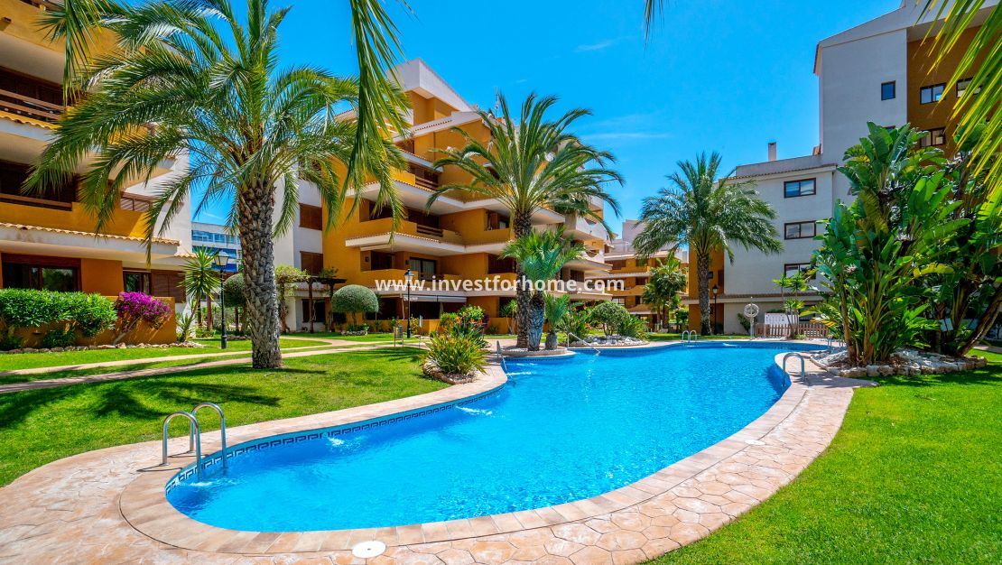 Reventa - Apartamento - Orihuela Costa - Costa Blanca