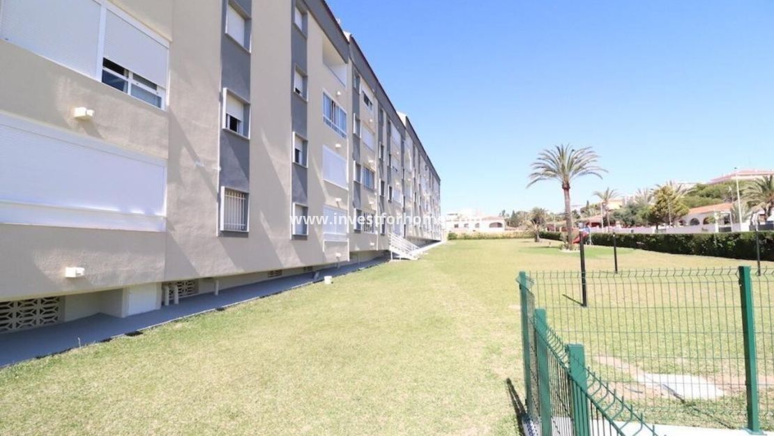 Reventa - Apartamento - Orihuela Costa - Costa Blanca