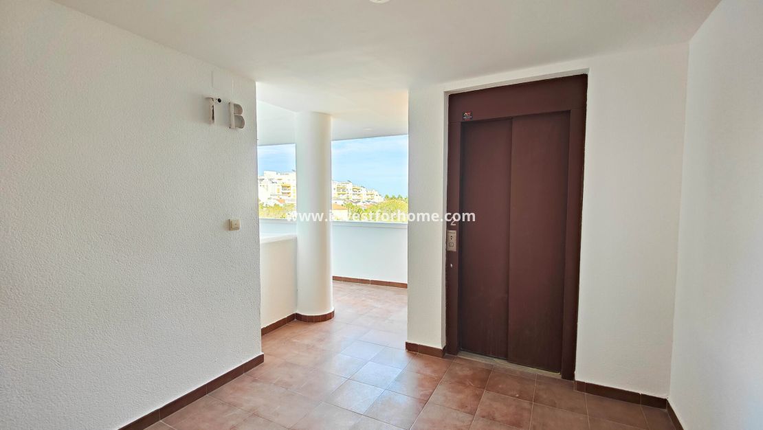 Reventa - Apartamento - Orihuela Costa - Costa Blanca