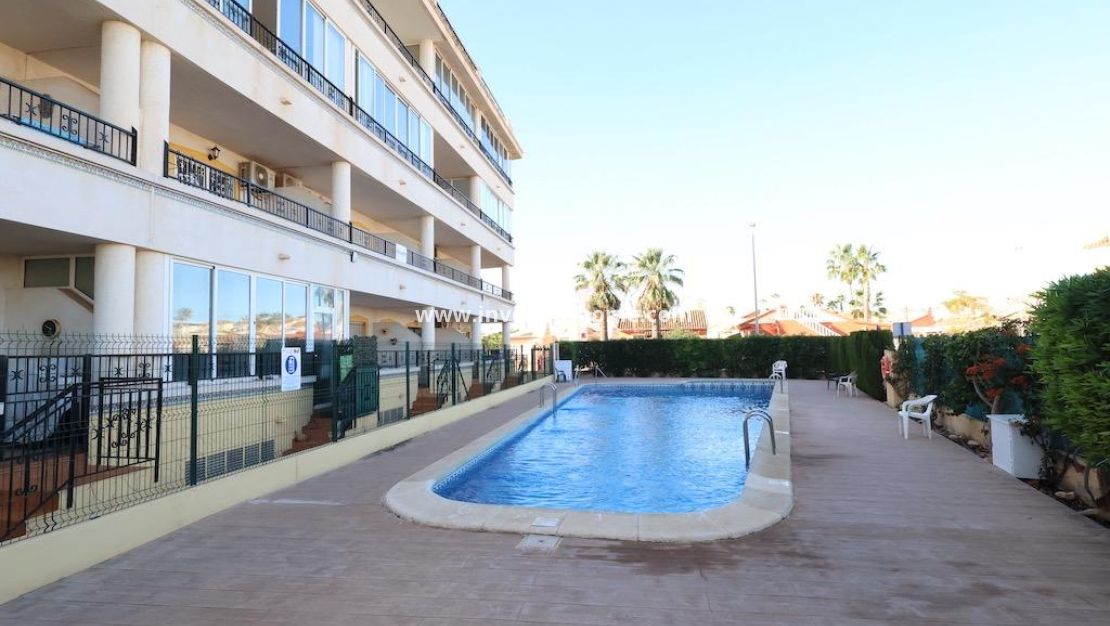 Reventa - Apartamento - Orihuela Costa - Costa Blanca