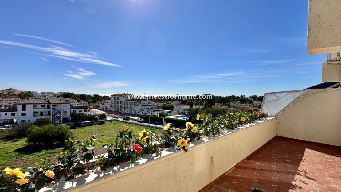 Reventa - Apartamento - Orihuela Costa - Costa Blanca