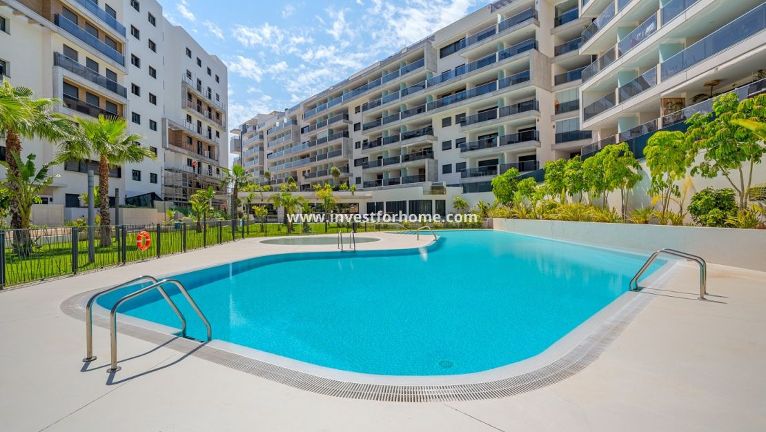 Reventa - Apartamento - Orihuela Costa - Costa Blanca