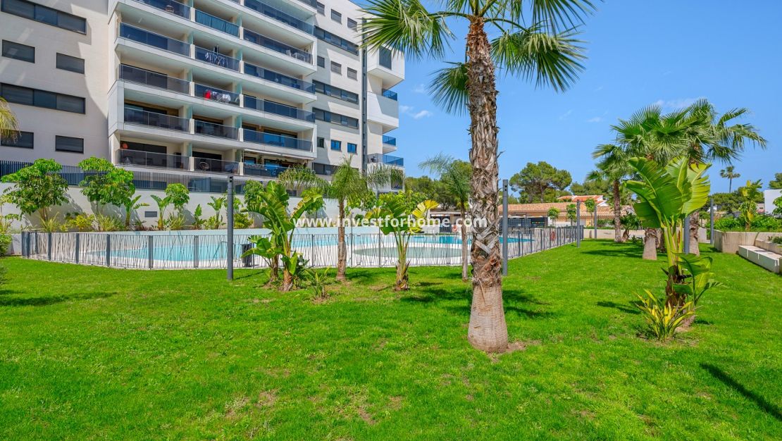 Reventa - Apartamento - Orihuela Costa - Costa Blanca