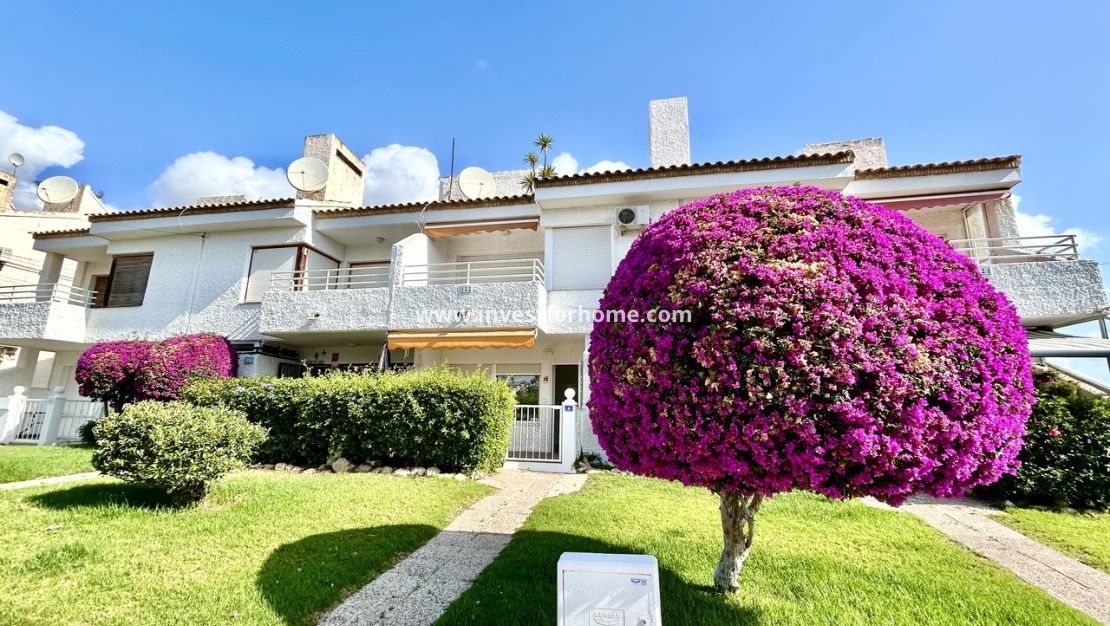 Reventa - Apartamento - Orihuela Costa - Costa Blanca