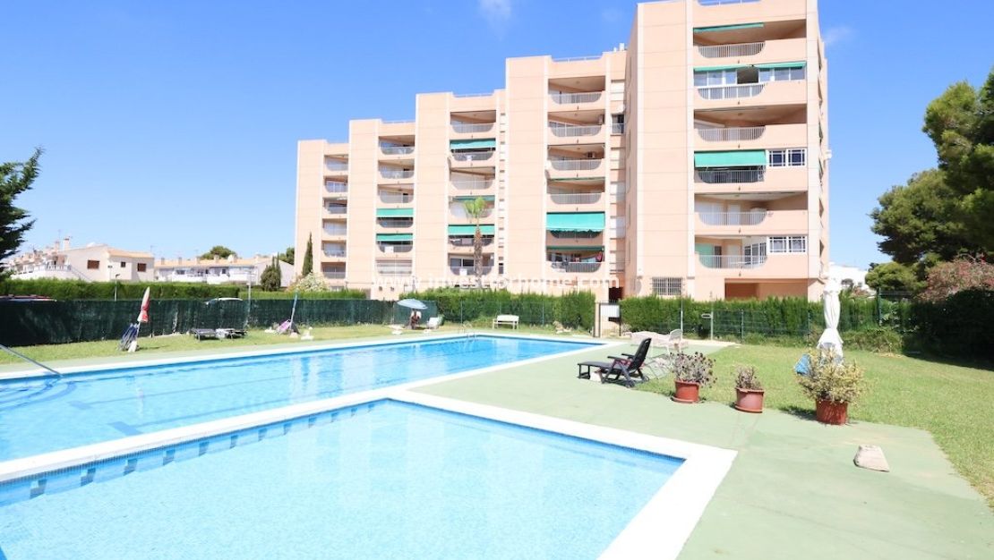 Reventa - Apartamento - Orihuela Costa - Costa Blanca