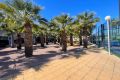 Reventa - Apartamento - Orihuela Costa - Costa Blanca