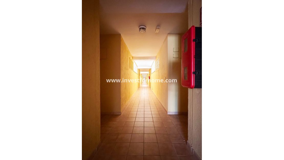 Reventa - Apartamento - Orihuela Costa - Costa Blanca