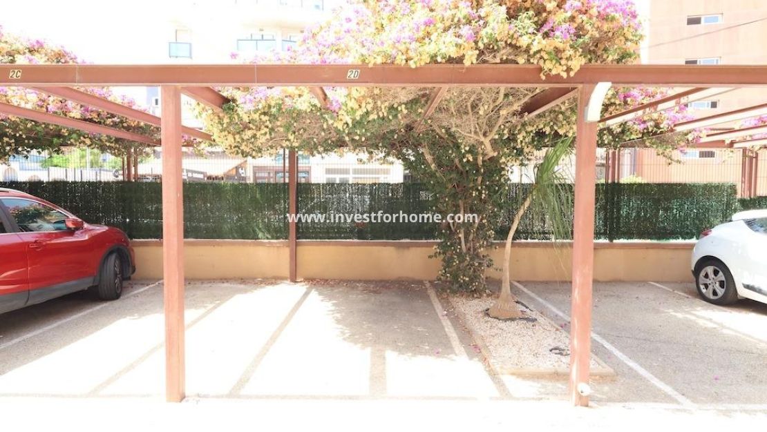 Reventa - Apartamento - Orihuela Costa - Costa Blanca