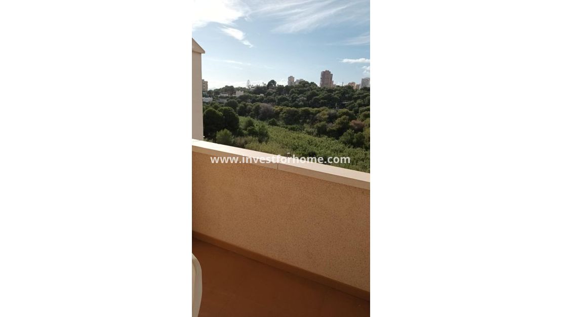 Reventa - Apartamento - Orihuela Costa - Dehesa De Campoamor