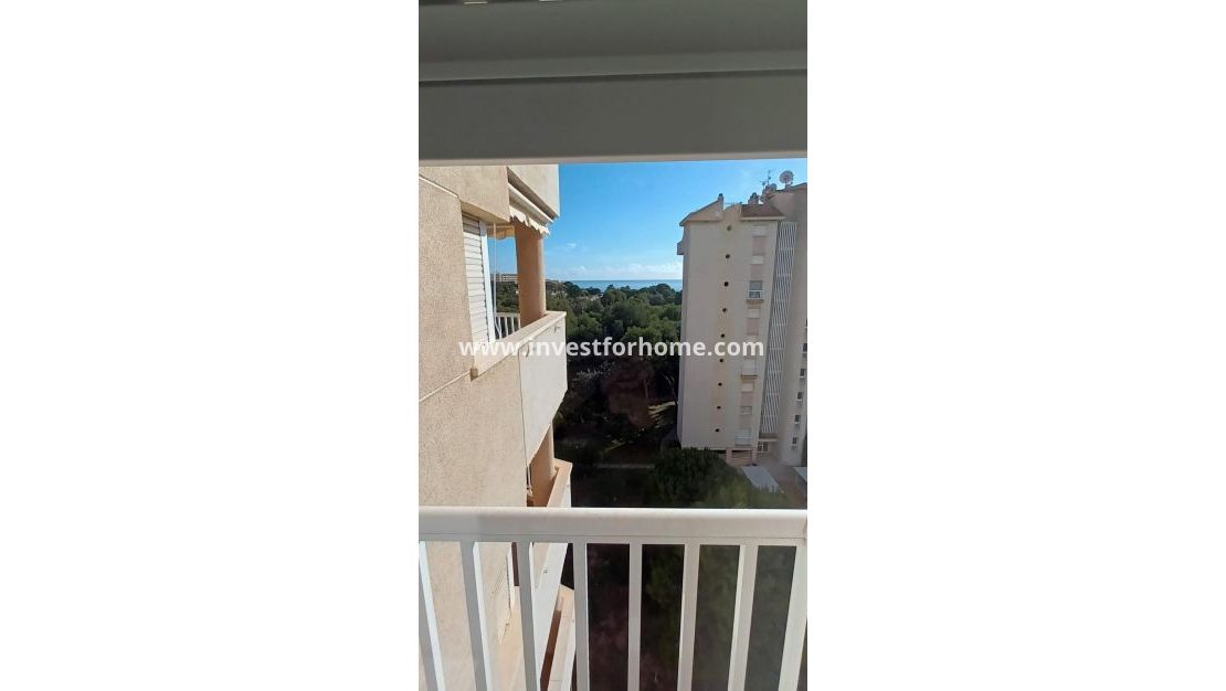 Reventa - Apartamento - Orihuela Costa - Dehesa De Campoamor