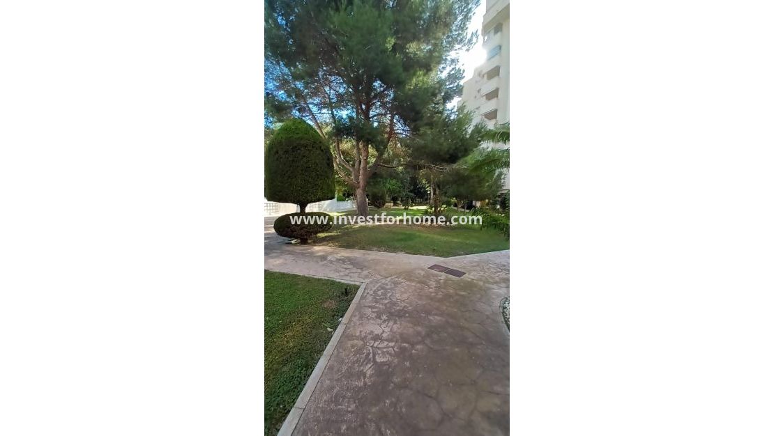 Reventa - Apartamento - Orihuela Costa - Dehesa De Campoamor