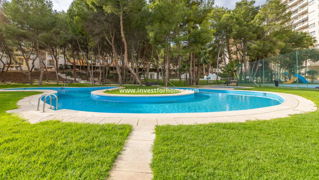 Reventa - Apartamento - Orihuela Costa - Dehesa De Campoamor