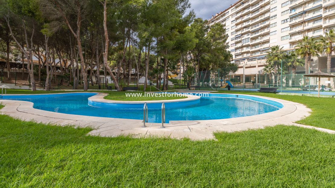 Reventa - Apartamento - Orihuela Costa - Dehesa De Campoamor