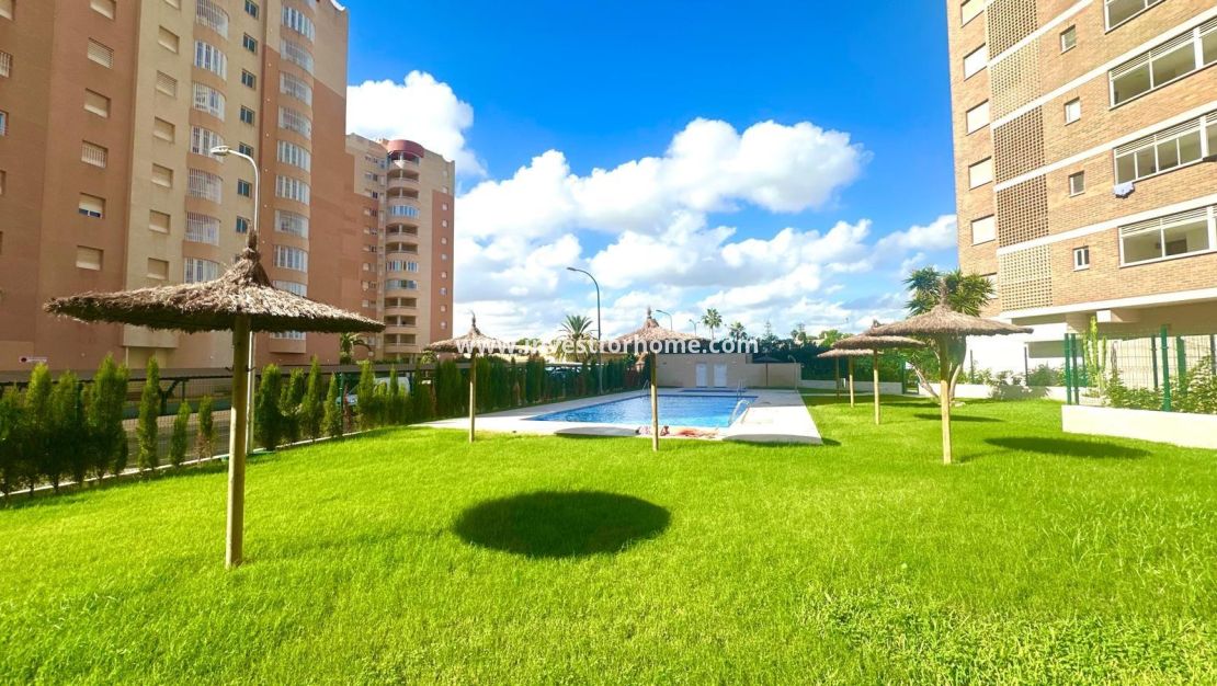 Reventa - Apartamento - Orihuela Costa - Dehesa De Campoamor