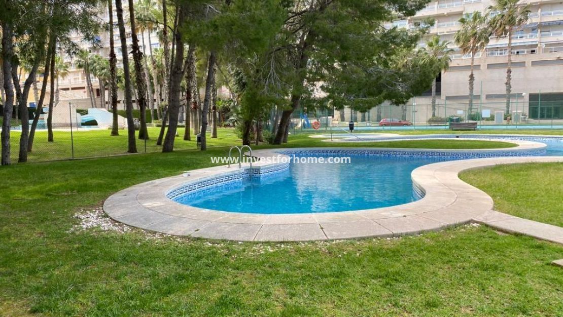 Reventa - Apartamento - Orihuela Costa - Dehesa De Campoamor