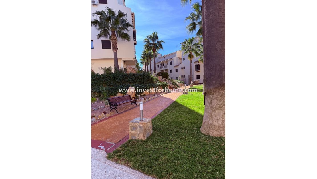 Reventa - Apartamento - Orihuela Costa - Inland