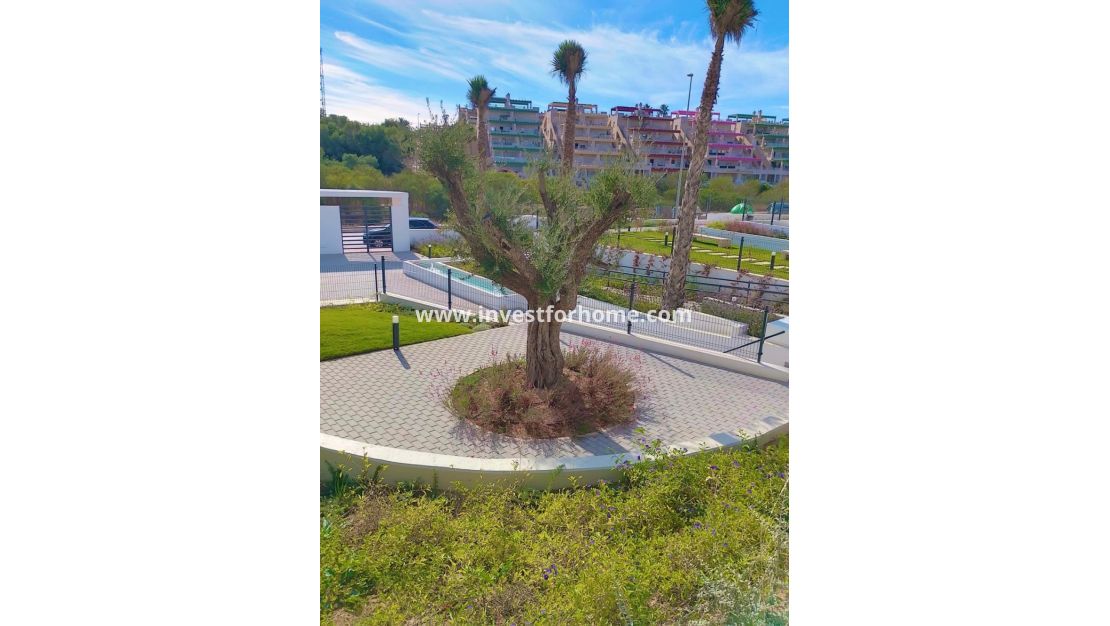 Reventa - Apartamento - Orihuela Costa - Inland