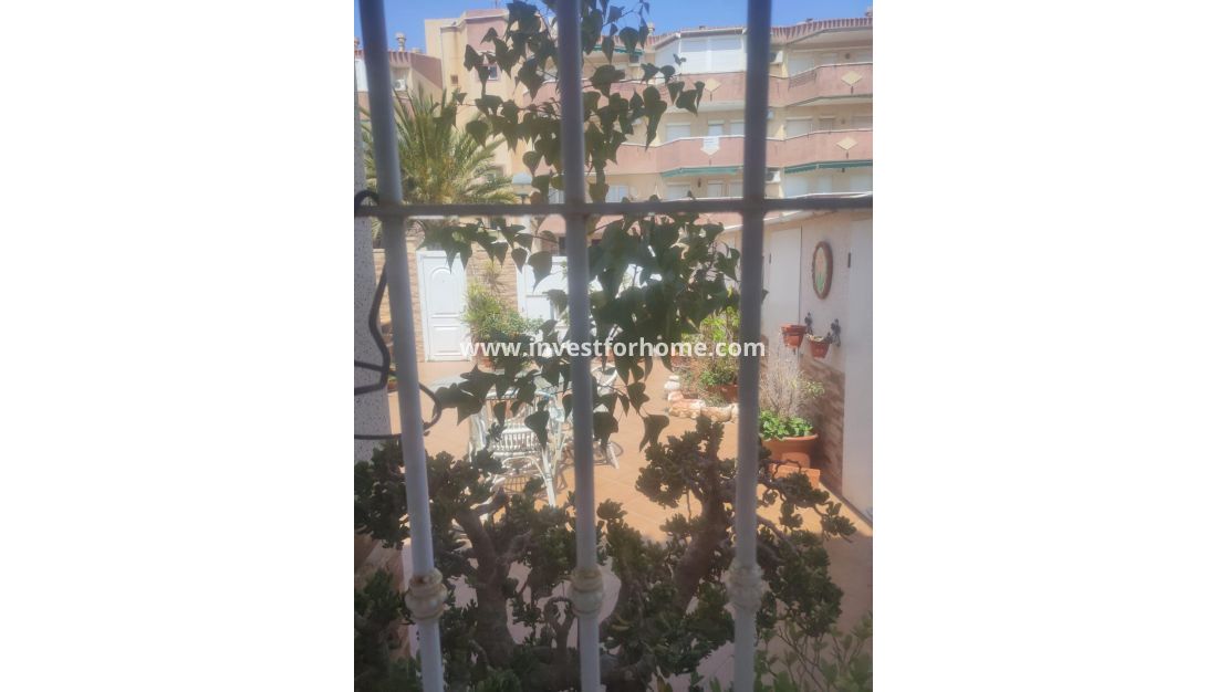 Reventa - Apartamento - Orihuela Costa - La Regia