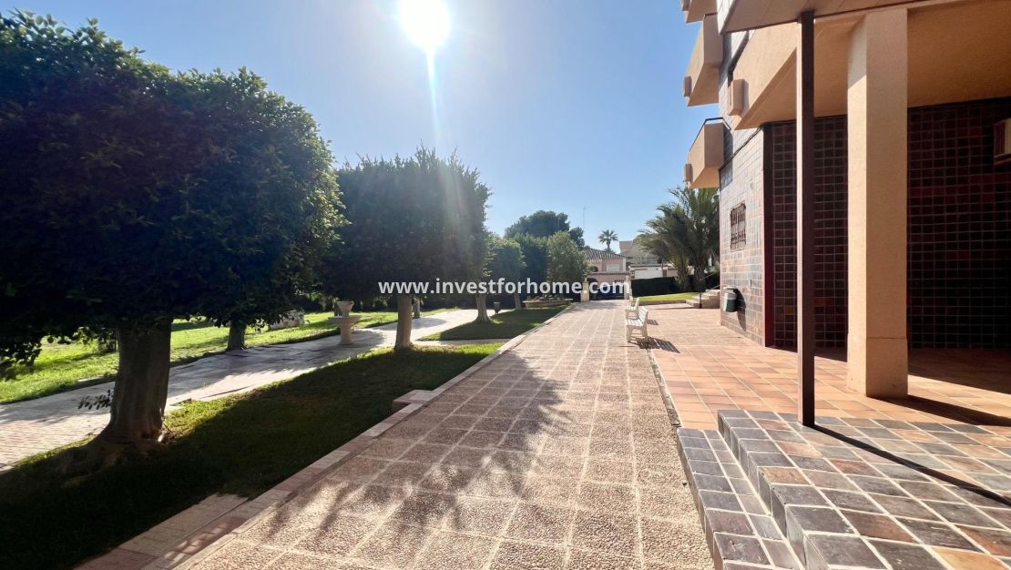 Reventa - Apartamento - Orihuela Costa - La Zenia