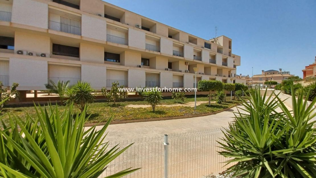 Reventa - Apartamento - Orihuela Costa - Los Dolses