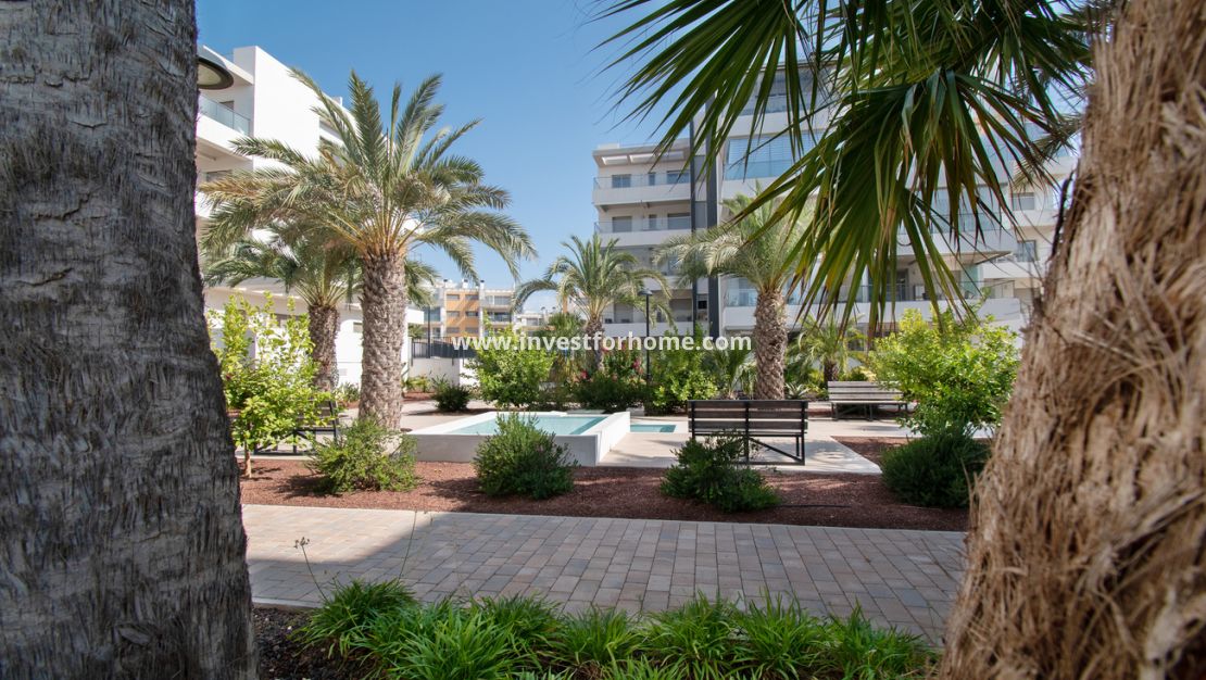 Reventa - Apartamento - Orihuela Costa - Los Dolses