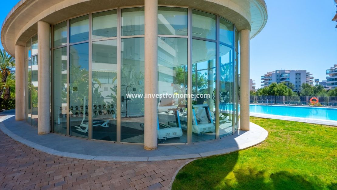 Reventa - Apartamento - Orihuela Costa - Los Dolses