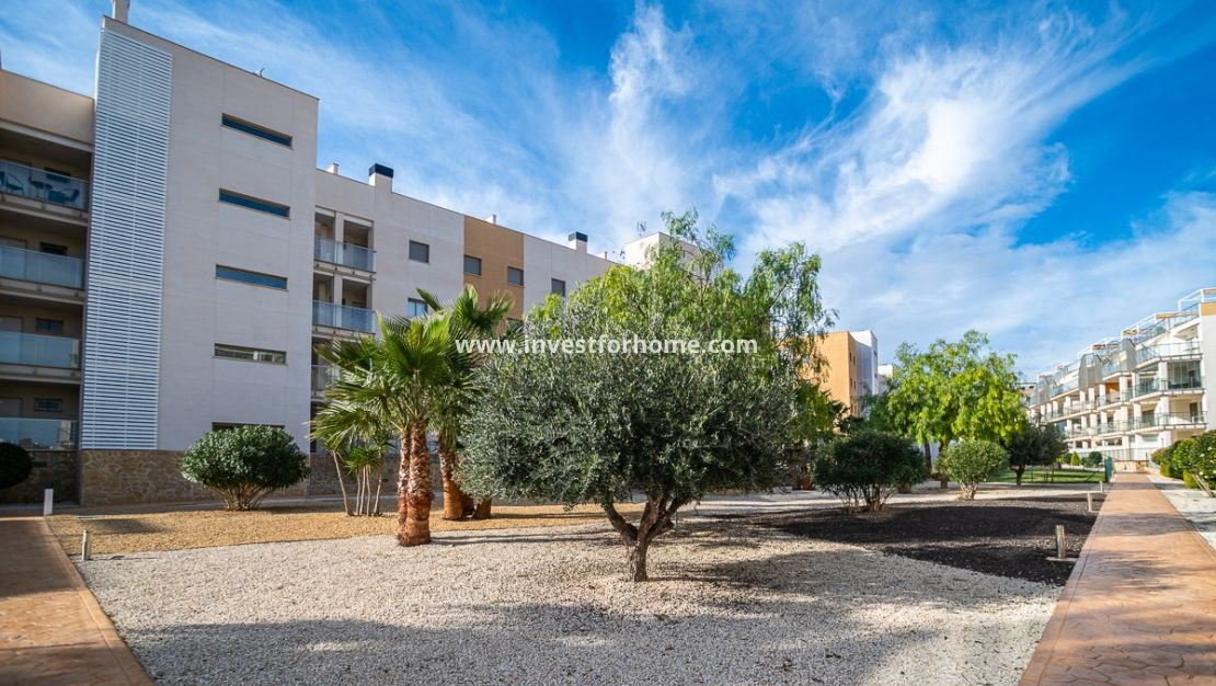 Reventa - Apartamento - Orihuela Costa - Los Dolses