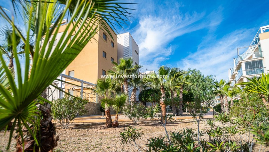 Reventa - Apartamento - Orihuela Costa - Los Dolses