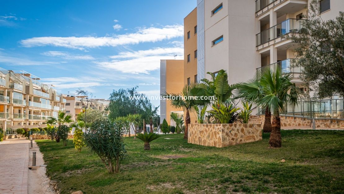 Reventa - Apartamento - Orihuela Costa - Los Dolses