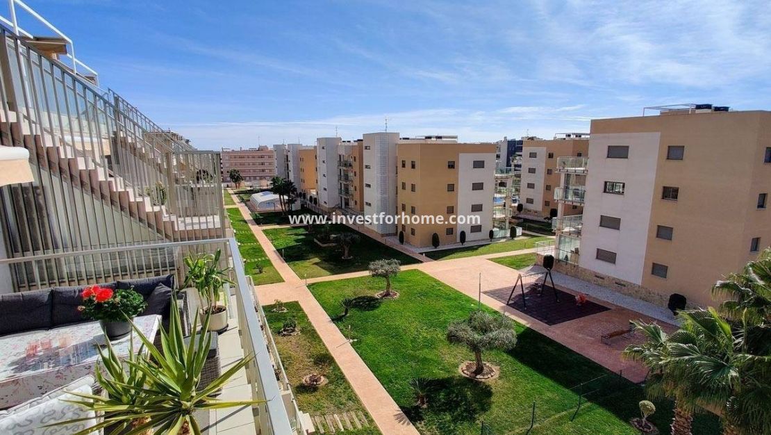 Reventa - Apartamento - Orihuela Costa - Montezenia