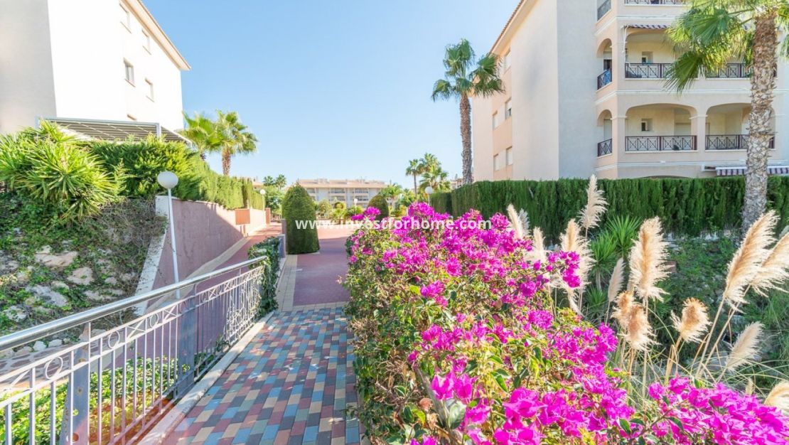 Reventa - Apartamento - Orihuela Costa - Playa Flamenca