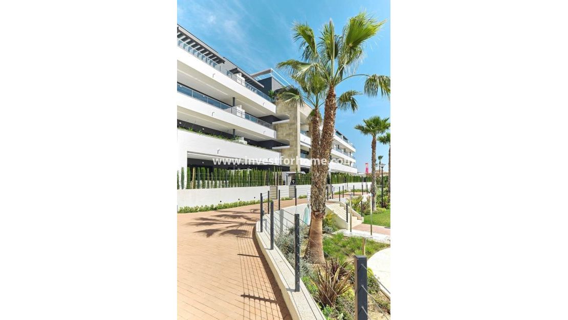 Reventa - Apartamento - Orihuela Costa - Playa Flamenca