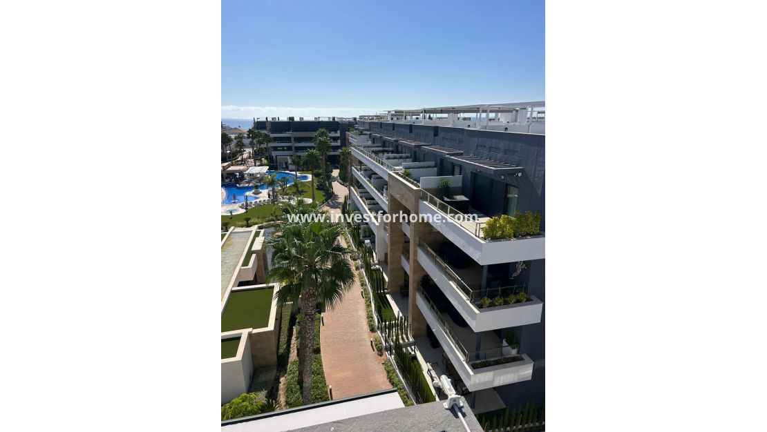 Reventa - Apartamento - Orihuela Costa - Playa Flamenca