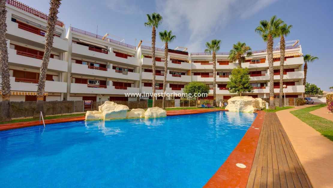 Reventa - Apartamento - Orihuela Costa - Playa Flamenca