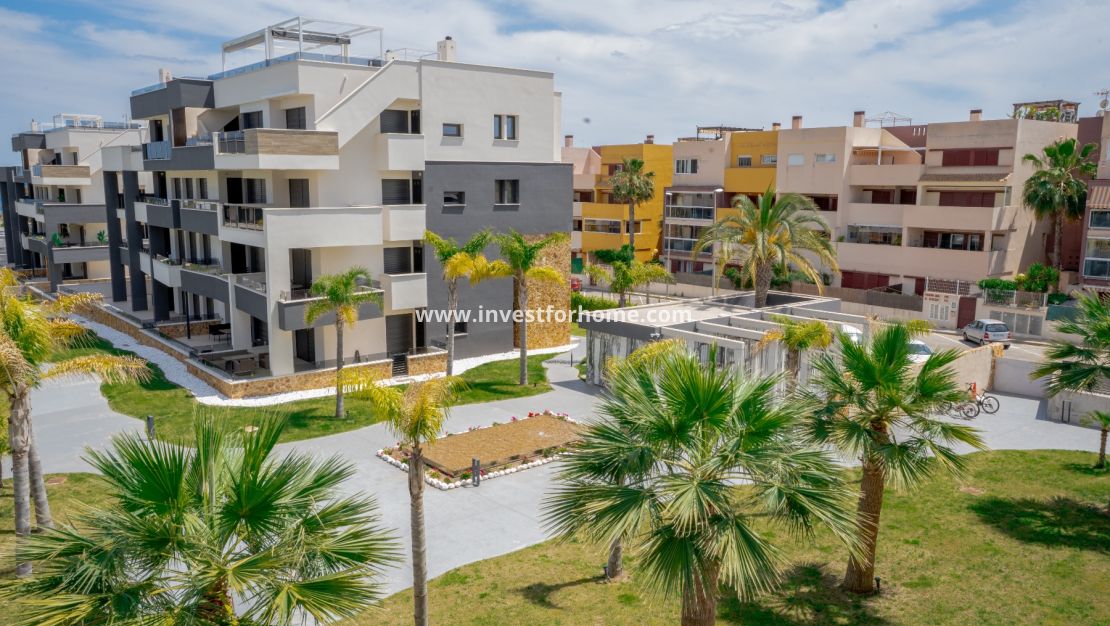 Reventa - Apartamento - Orihuela Costa - Playa Flamenca