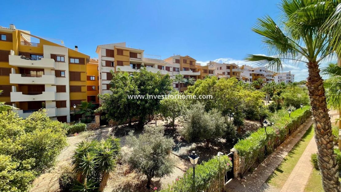 Reventa - Apartamento - Orihuela Costa - Punta Prima