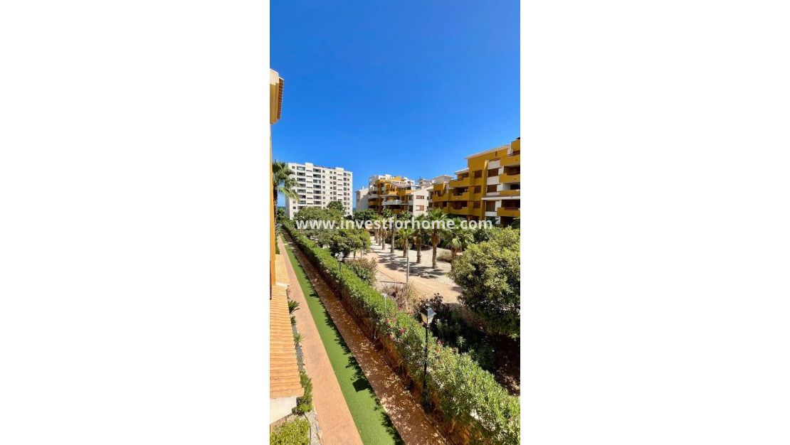 Reventa - Apartamento - Orihuela Costa - Punta Prima