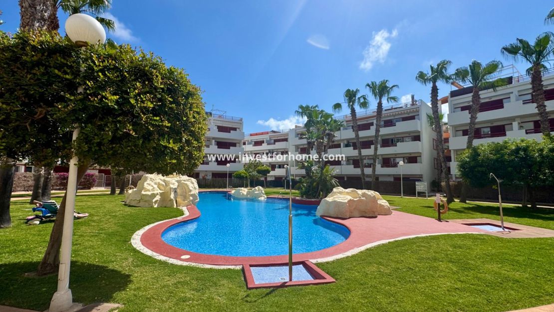 Reventa - Apartamento - Orihuela Costa - Punta Prima