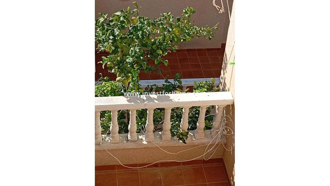 Reventa - Apartamento - Orihuela Costa - Villamartin Pau 26