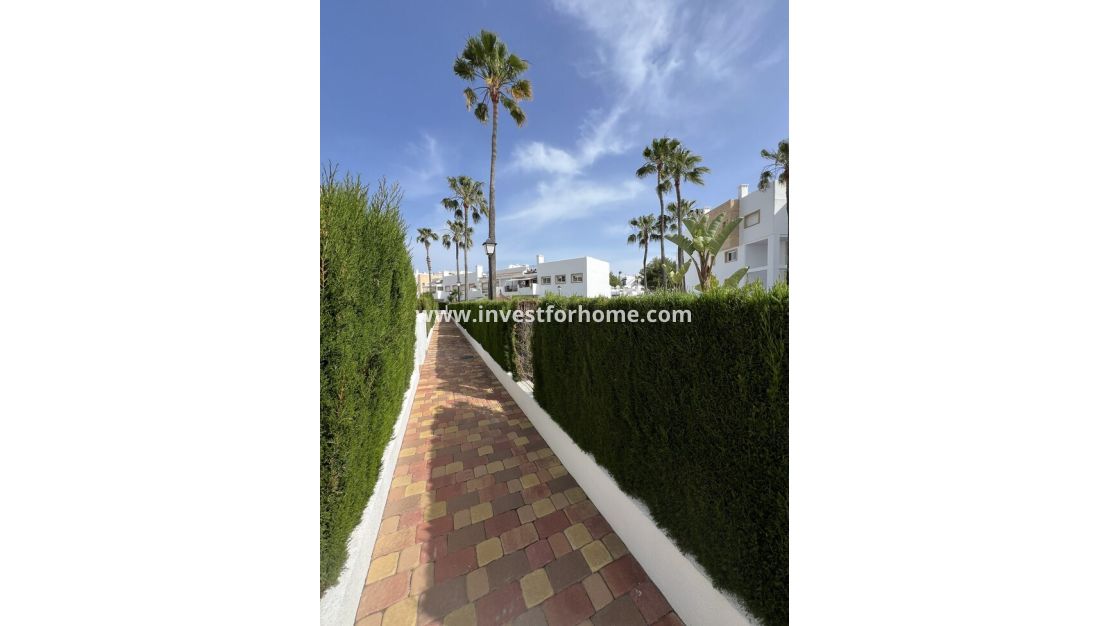 Reventa - Apartamento - Orihuela Costa - Villamartín