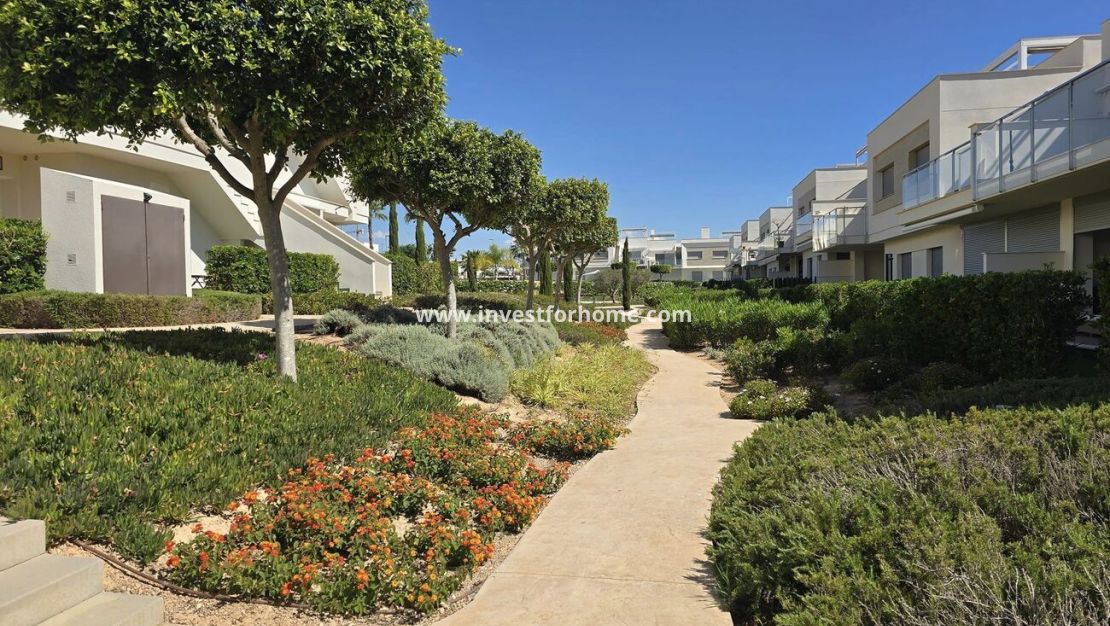 Reventa - Apartamento - Orihuela Costa - Vistabella Golf Entre Naranjos