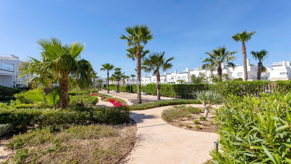 Reventa - Apartamento - Orihuela Costa - Vistabella Golf